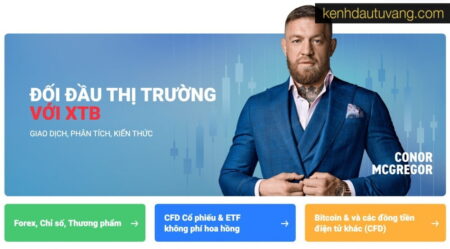 kết quả tài chính quý 3 năm 2022 của xtb