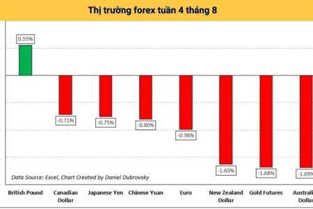 thị trường forex tuần 4 tháng 8